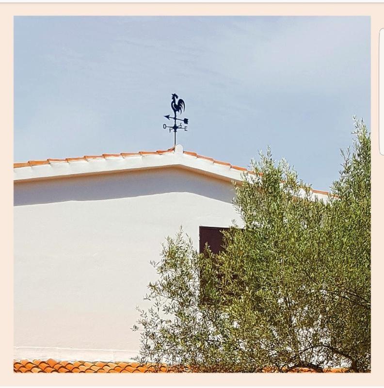 Villa La Rucchetta אלגהרו מראה חיצוני תמונה