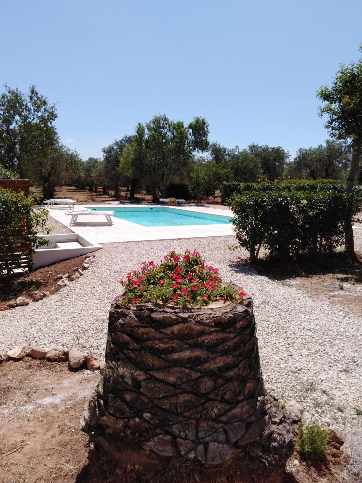 Villa La Rucchetta אלגהרו מראה חיצוני תמונה