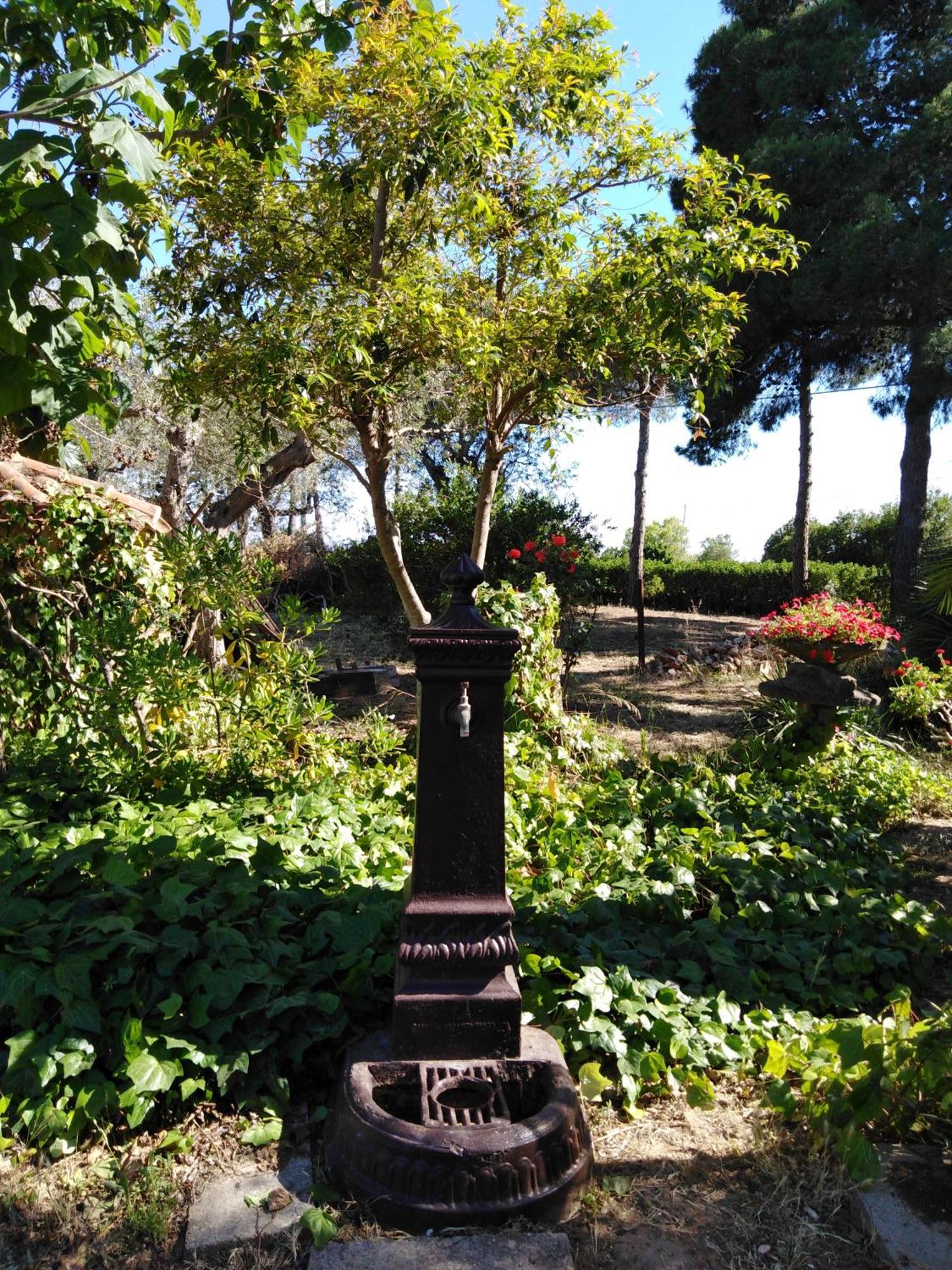 Villa La Rucchetta אלגהרו מראה חיצוני תמונה